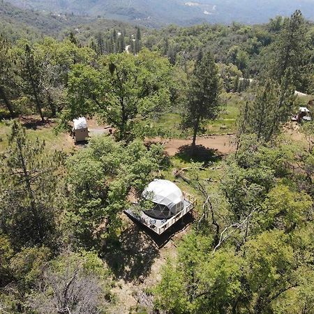 Enchanted Forest Dome ,10-15 Minutes To Kings Canyons-New Pellet Stove For Cozy Warm Nights Dunlap Exterior foto