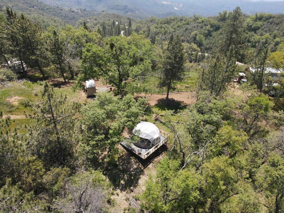 Enchanted Forest Dome ,10-15 Minutes To Kings Canyons-New Pellet Stove For Cozy Warm Nights Dunlap Exterior foto